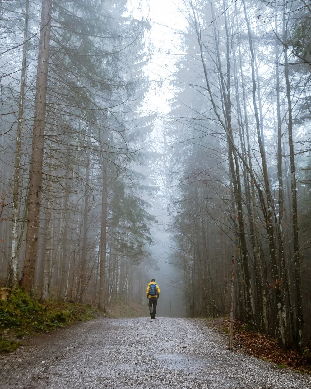 Un chemin dans une forêt de brume, avec une silhouette au loin, vue de dos; image d'ambiance