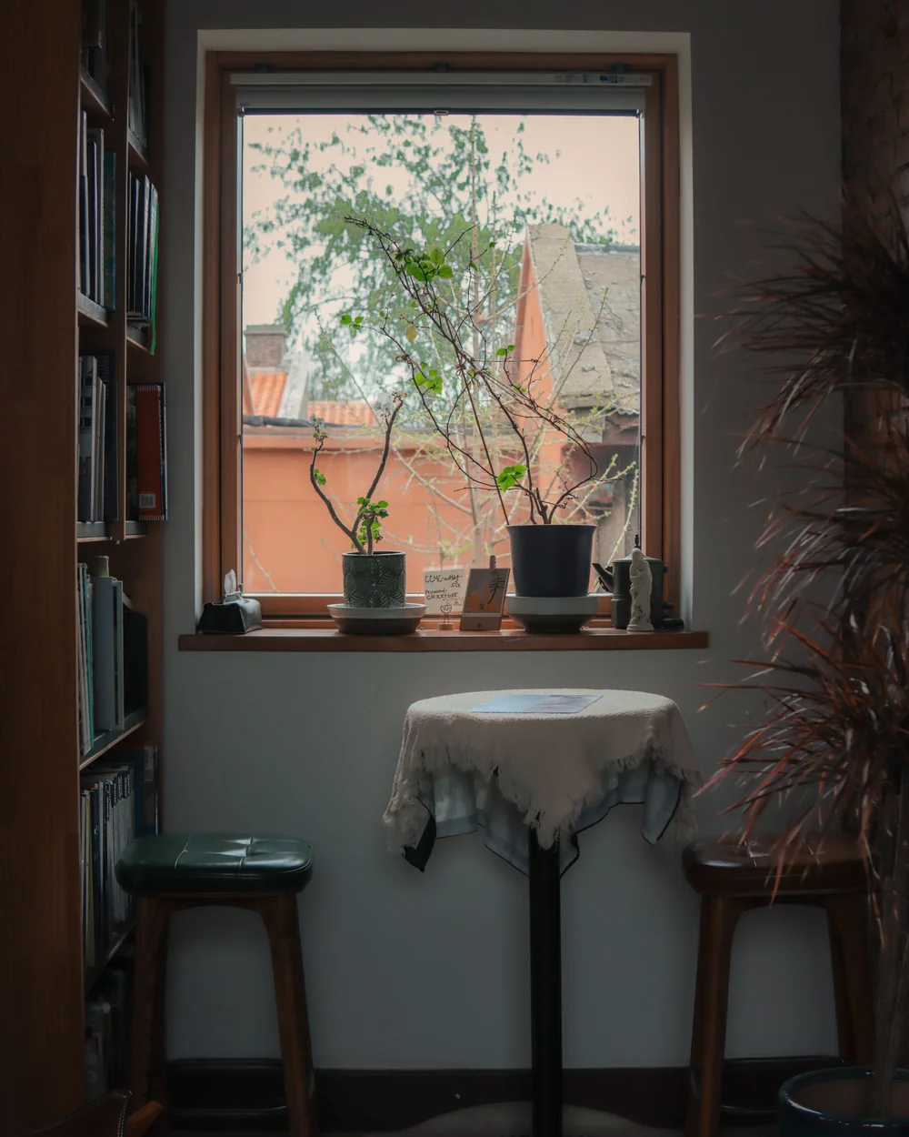 Un coin de travail calme près d'une fenêtre, avec des plantes et une bibliothèque; image d'ambiance