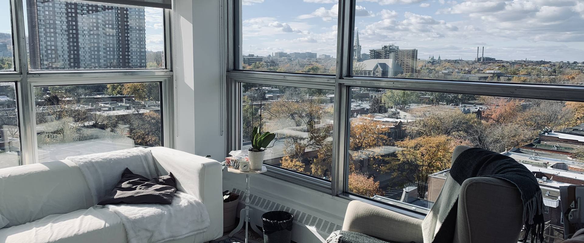 La vue du bureau de Céline Castillo sur le quartier en automne, rue Sherbrooke Est