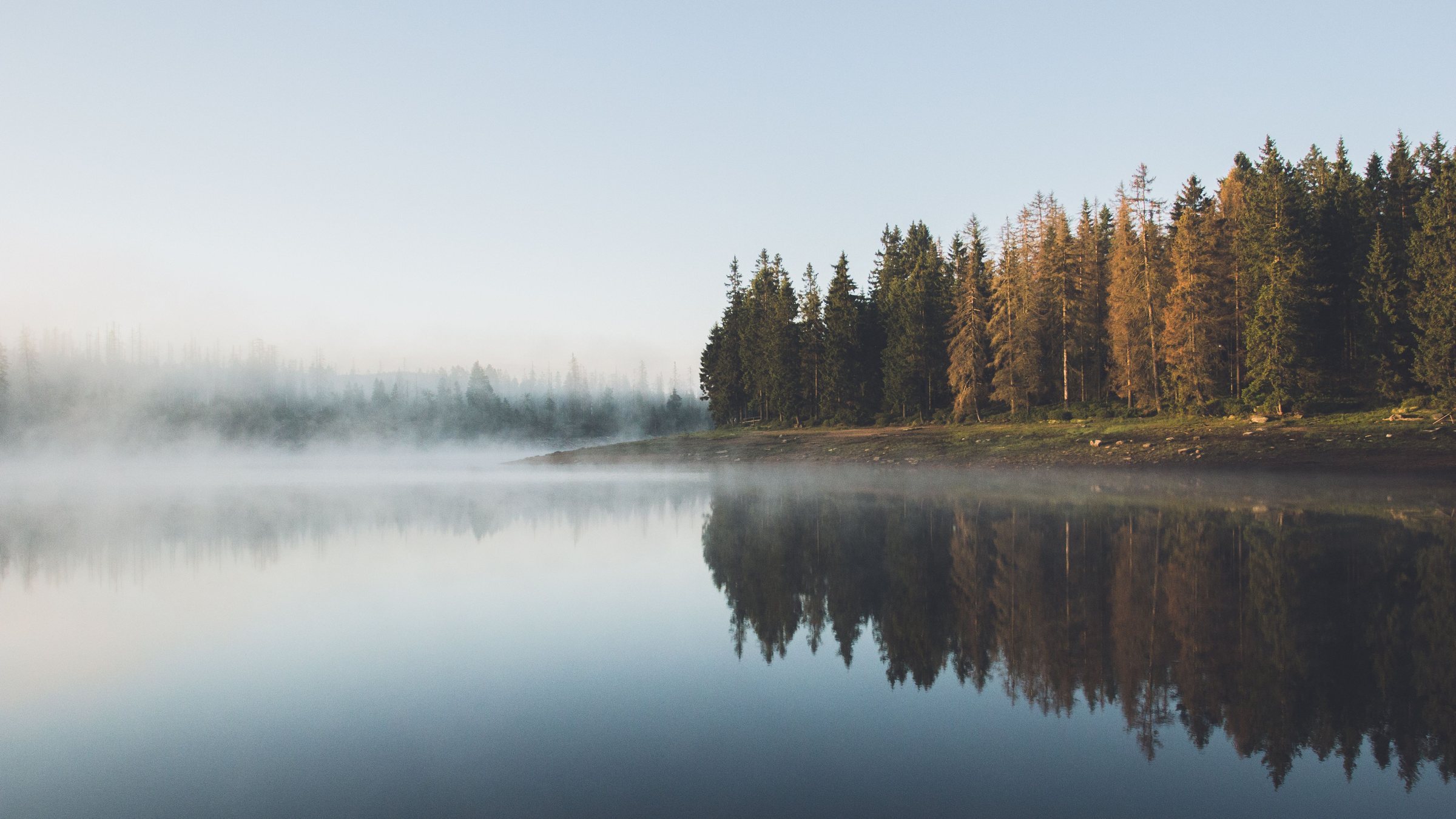 Un lac calme dans la brume du matin, une rive de conifères et de mélèzes d'automne qui s'y reflète; image d'ambiance