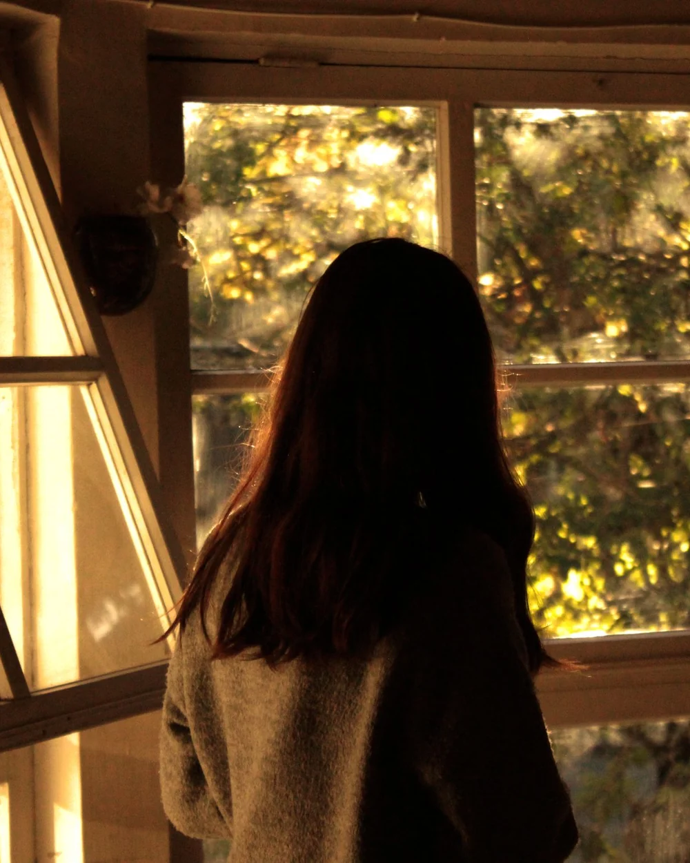 Une femme de dos à sa fenêtre, dans une lumière chaude; image d'ambiance