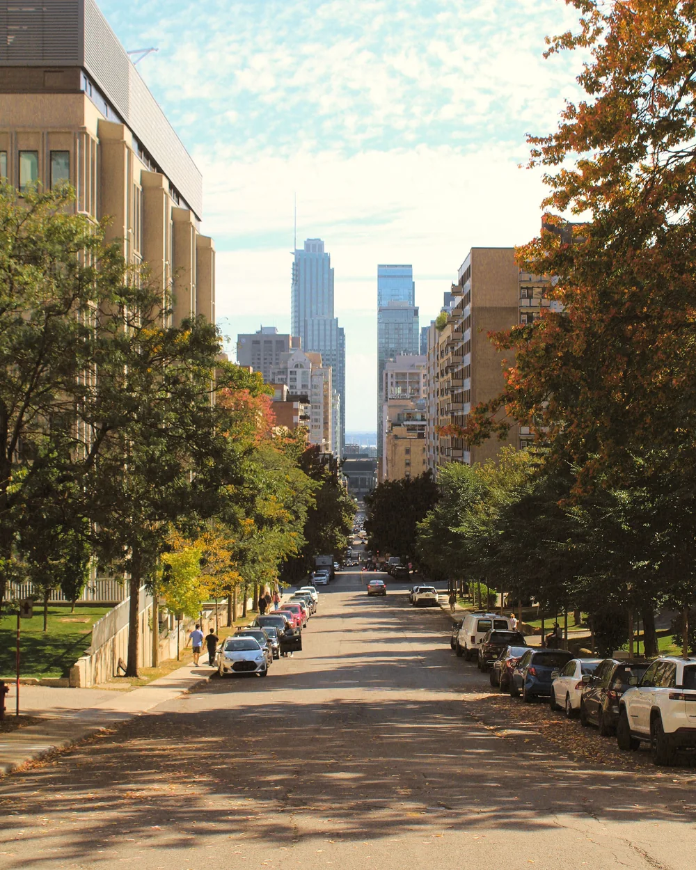 Une rue de Montréal en automne qui descend vers le centre-ville; image d'ambiance